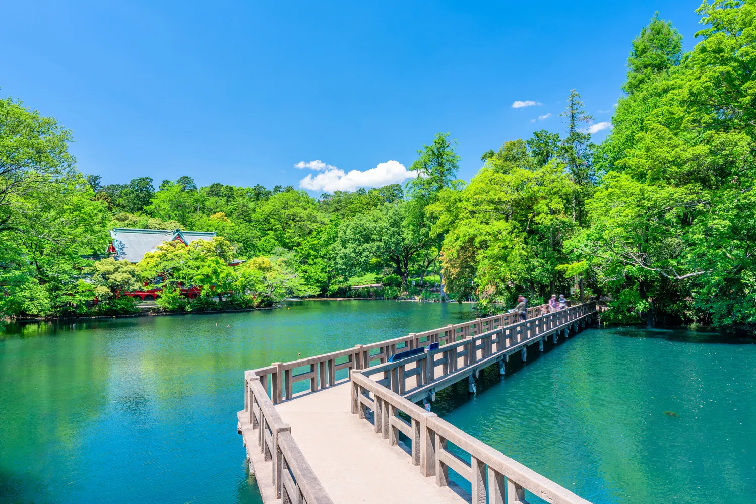 井の頭公園のイメージ画像